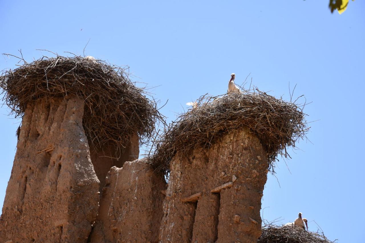 Maison D'hôtes Dar Afra Ait Ziri Exterior foto