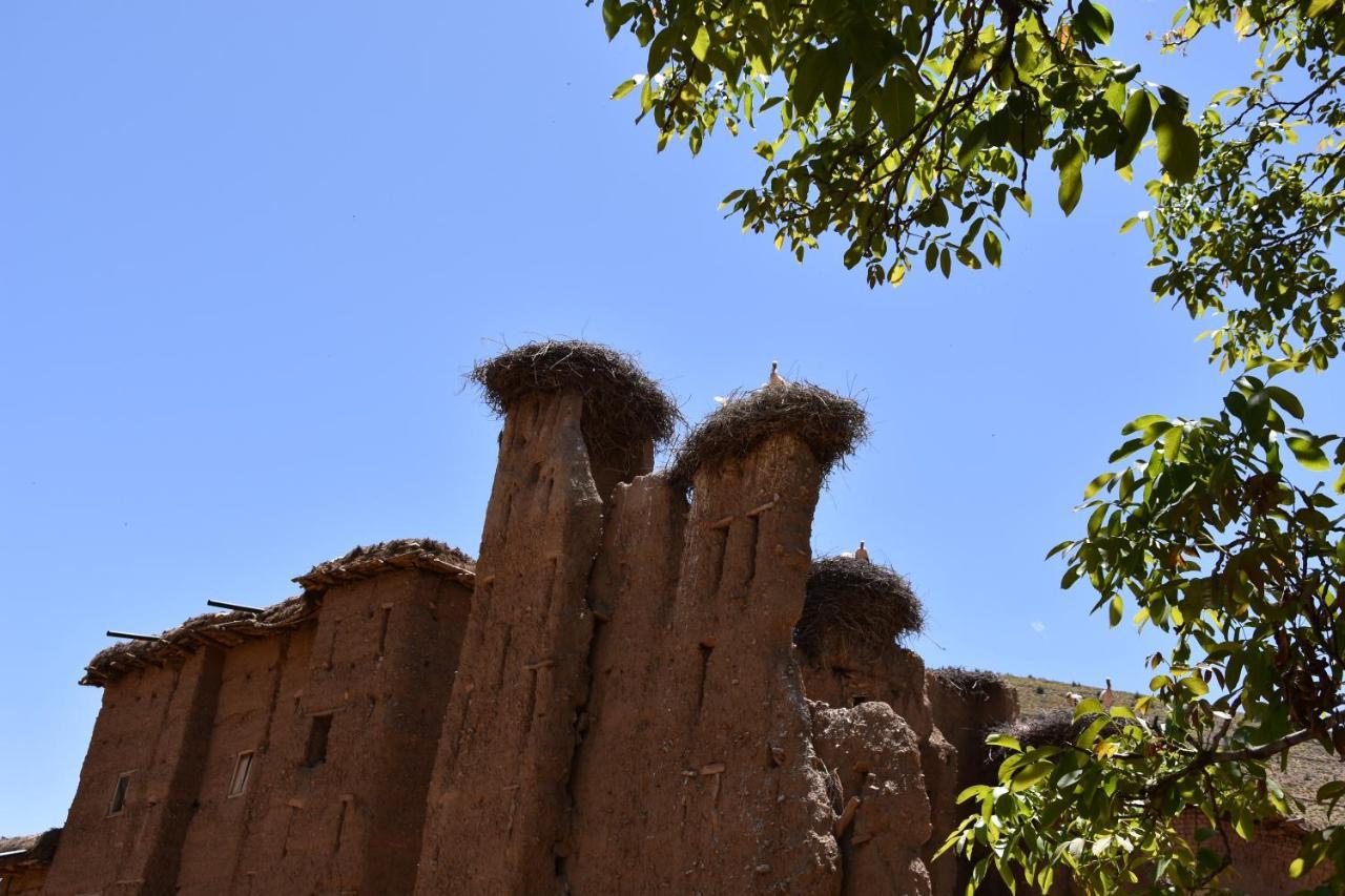 Maison D'hôtes Dar Afra Ait Ziri Exterior foto